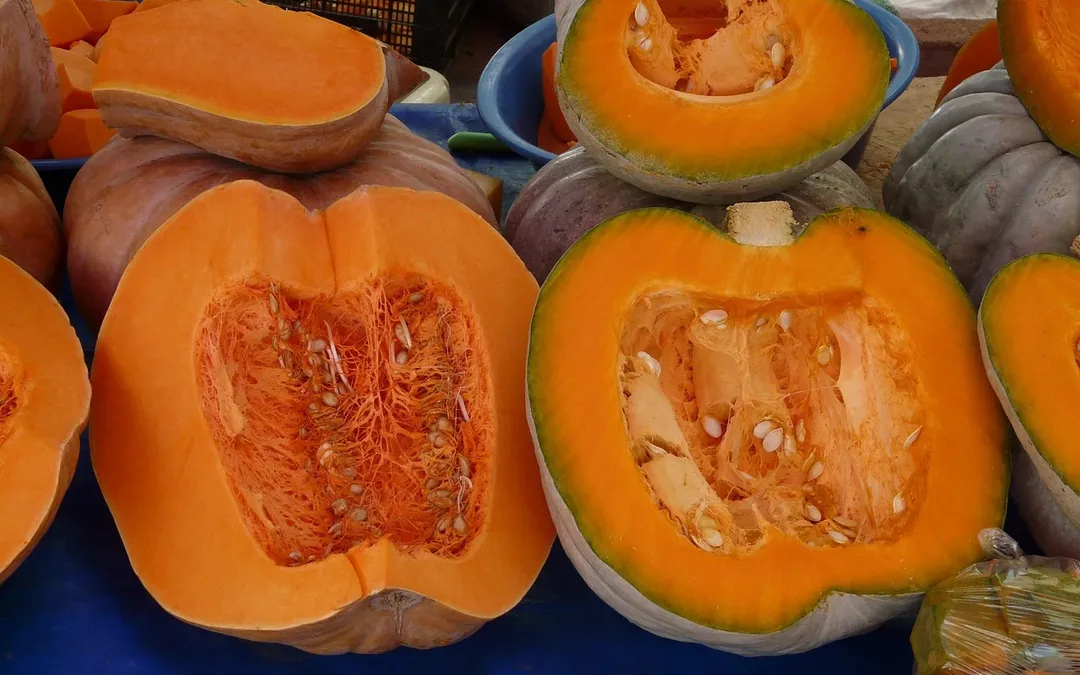 Gasoline Alley Farmers' Market Opening Weekend