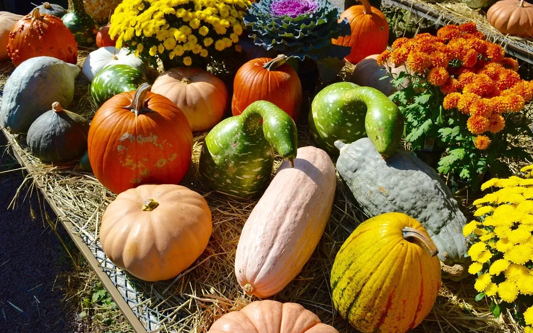 Summer Outdoor Market